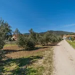 Mimosa Con Piscina - Goelba *