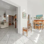 Mimosa Con Piscina - Goelba