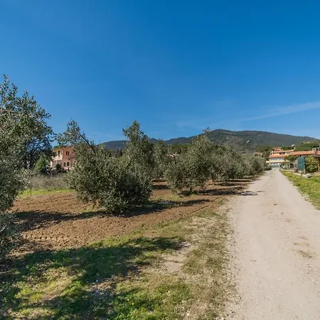 Mimosa Con Piscina - Goelba *