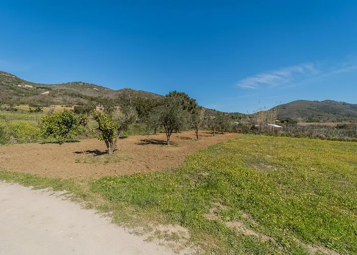 Mimosa Con Piscina - Goelba Marmi