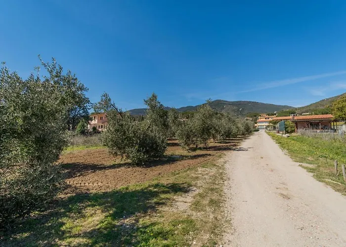 Mimosa Con Piscina - Goelba *